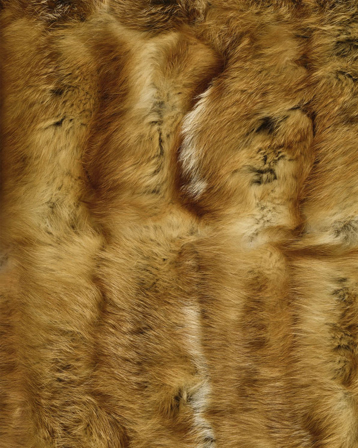DIMORE - Tapis renard roux canadien & flancs de renard noir -Yves Salomon Editions