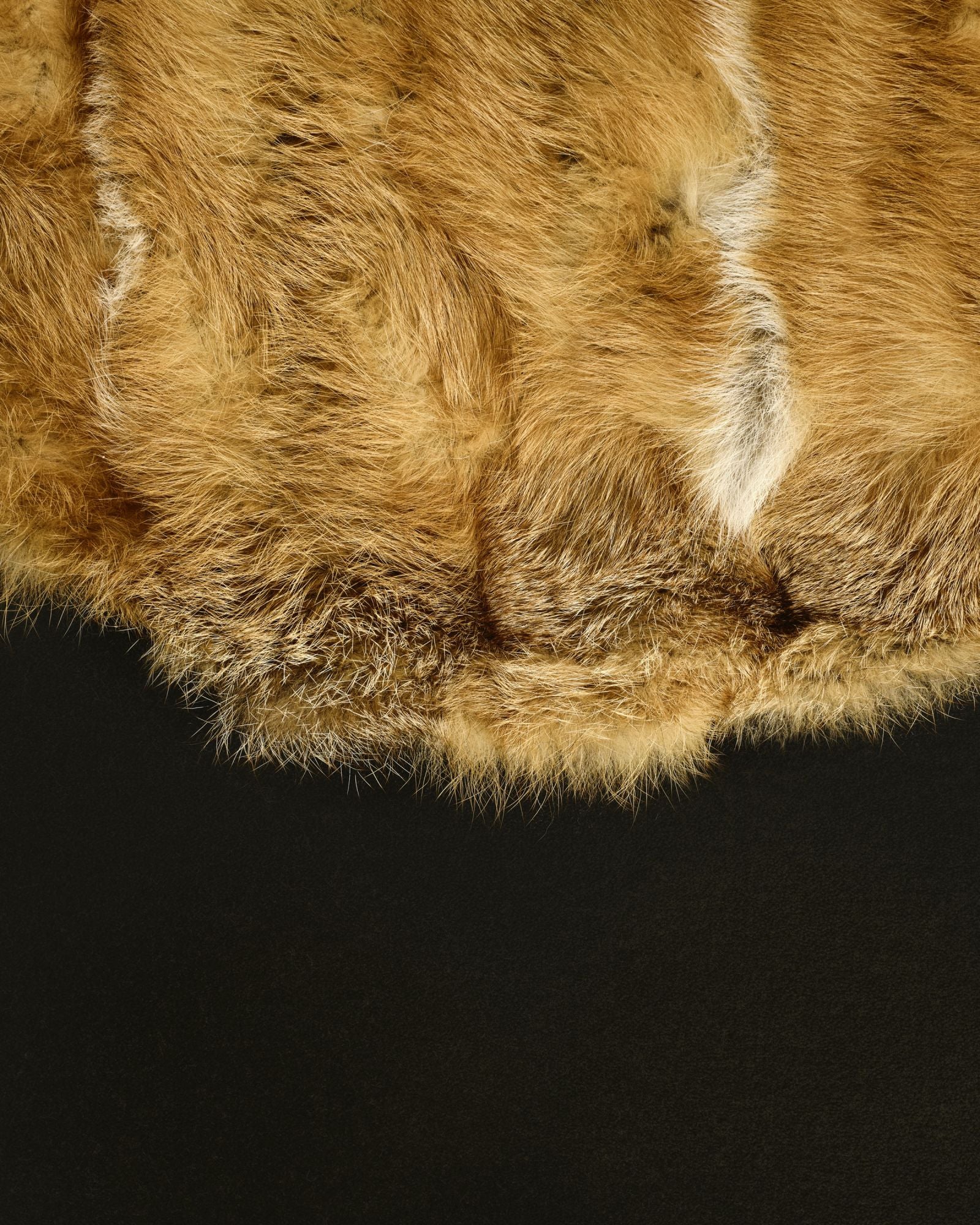 DIMORE - Tapis renard roux canadien & flancs de renard noir -Yves Salomon Editions